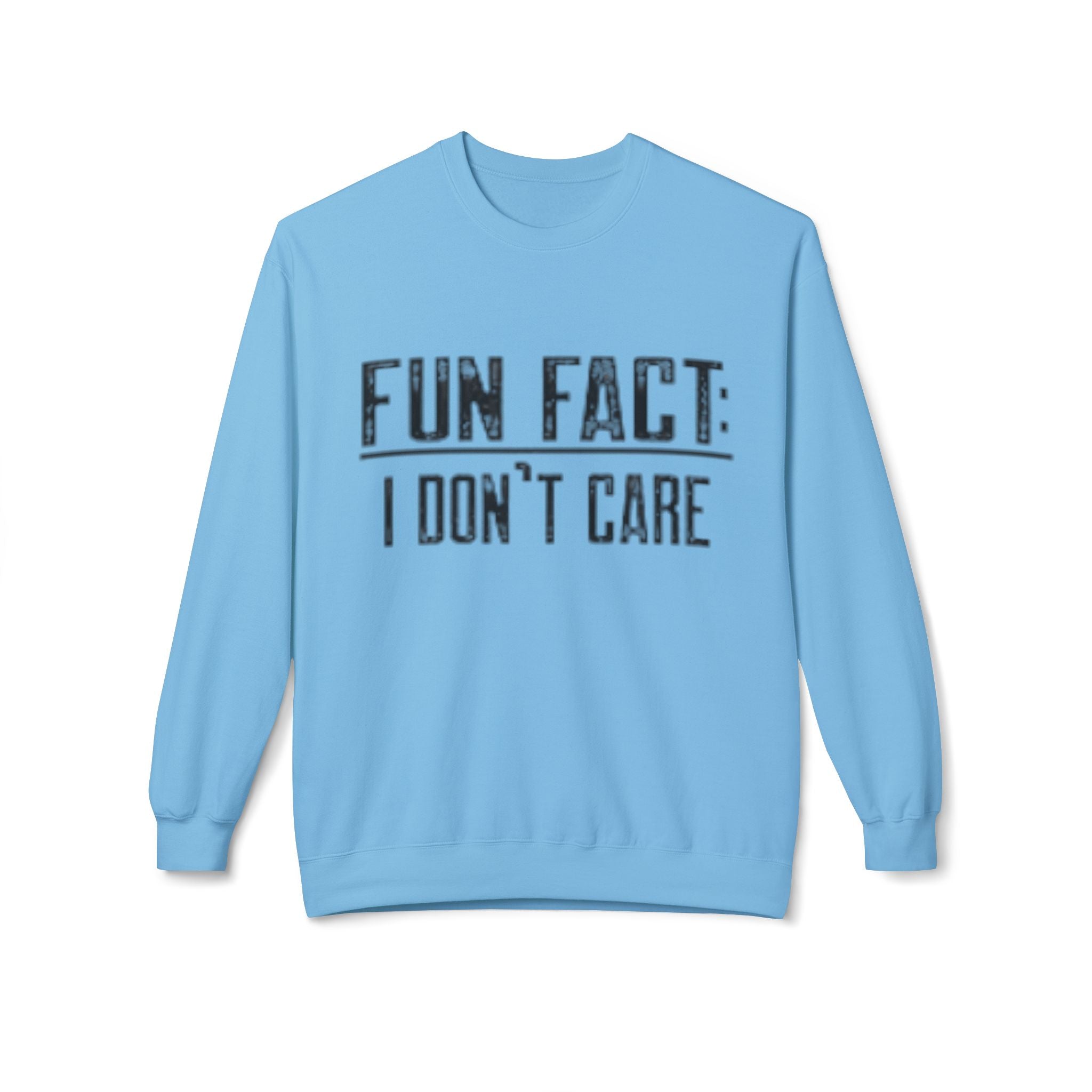 Fun Fact: I Don’t Care Sweatshirt – Sarcastic Graphic Pullover