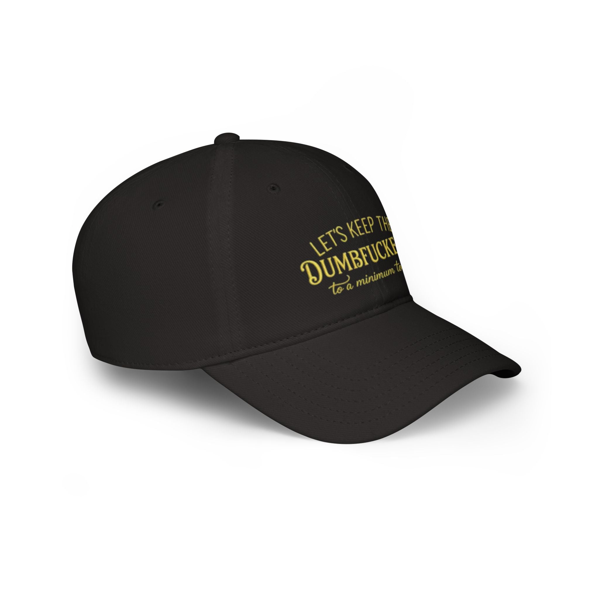 Humorous Low Profile Baseball Cap - "Let's Keep the Dumbfuckery to a Minimum Today"
