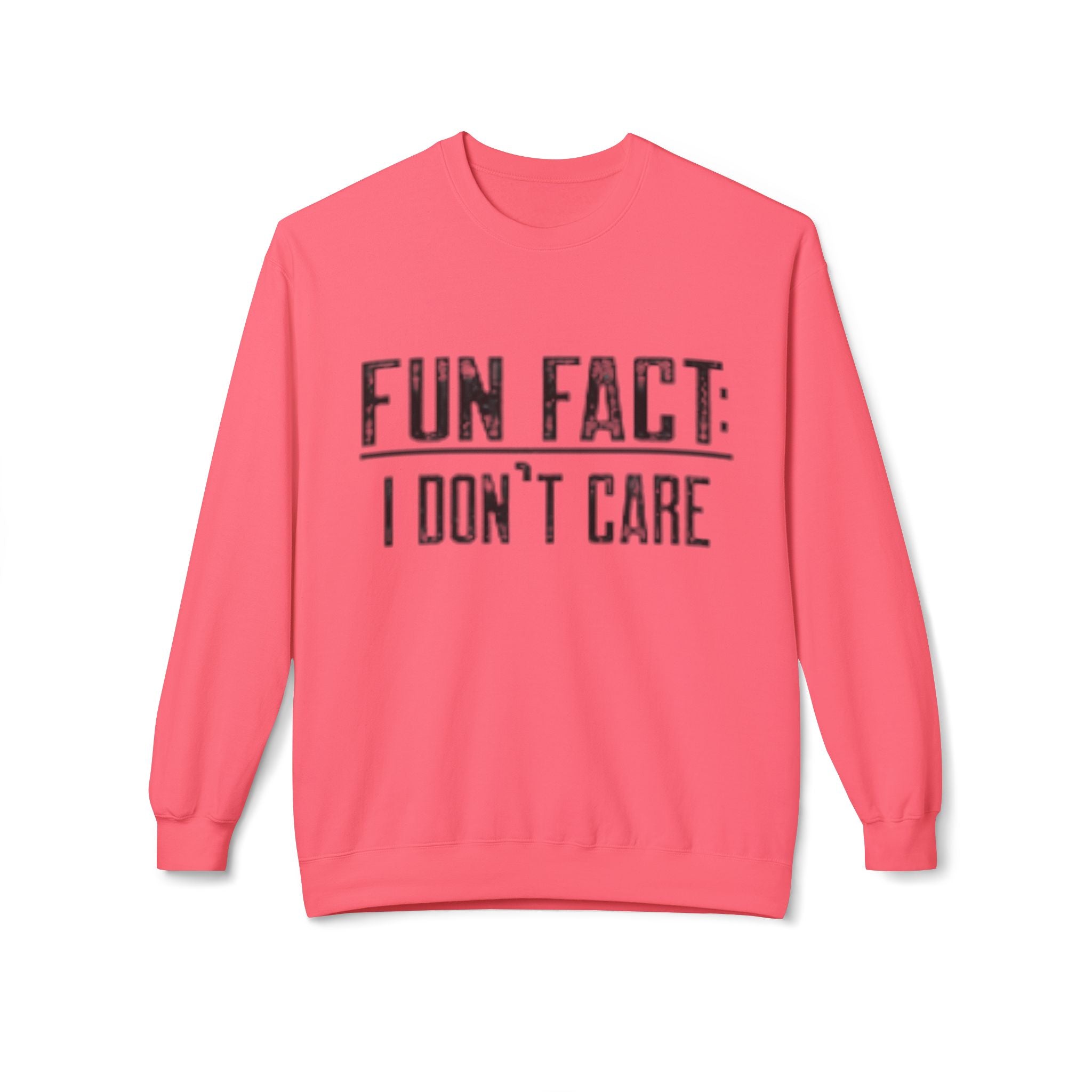 Fun Fact: I Don’t Care Sweatshirt – Sarcastic Graphic Pullover