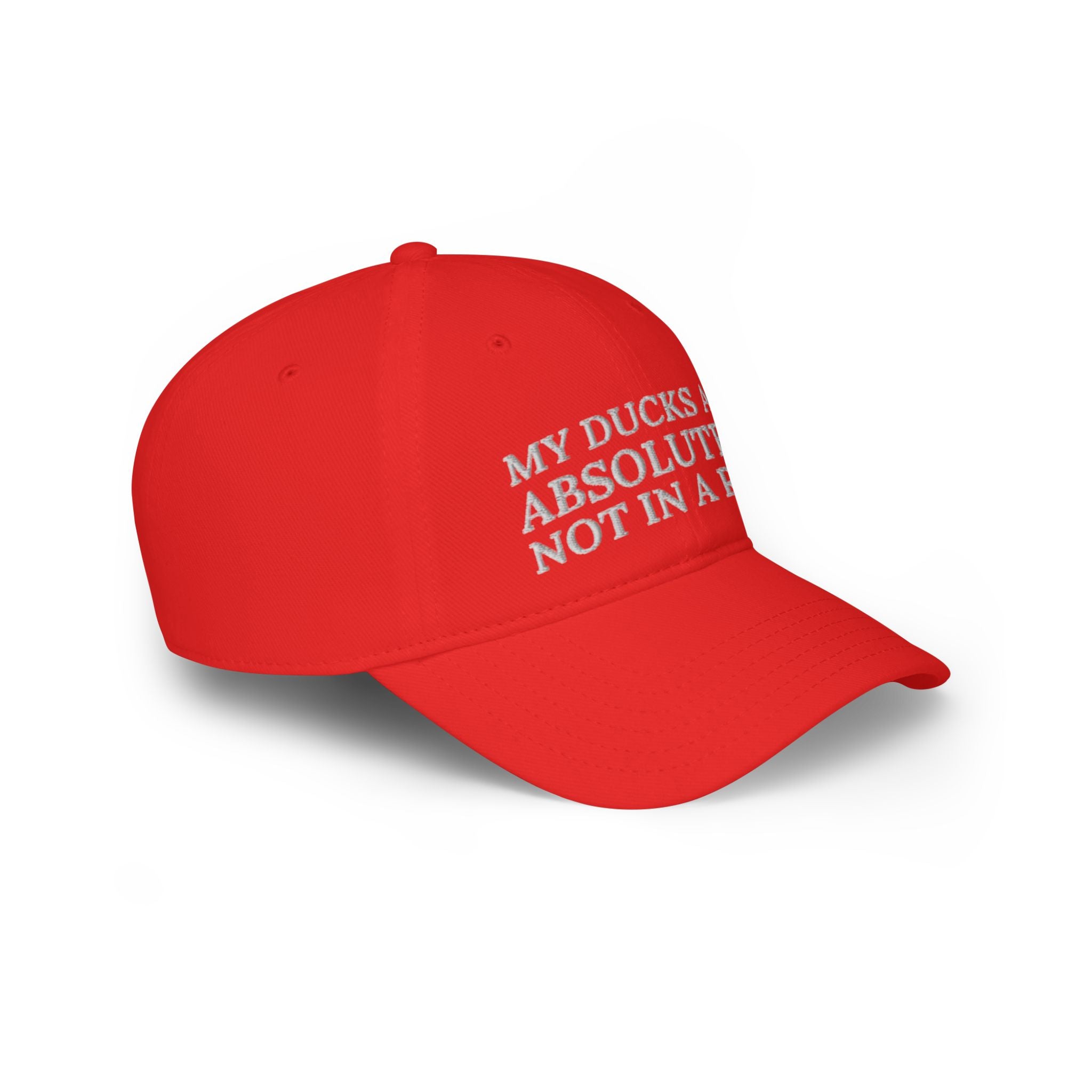 Humorous Low Profile Baseball Cap – "My Ducks Are Absolutely Not in a Row"