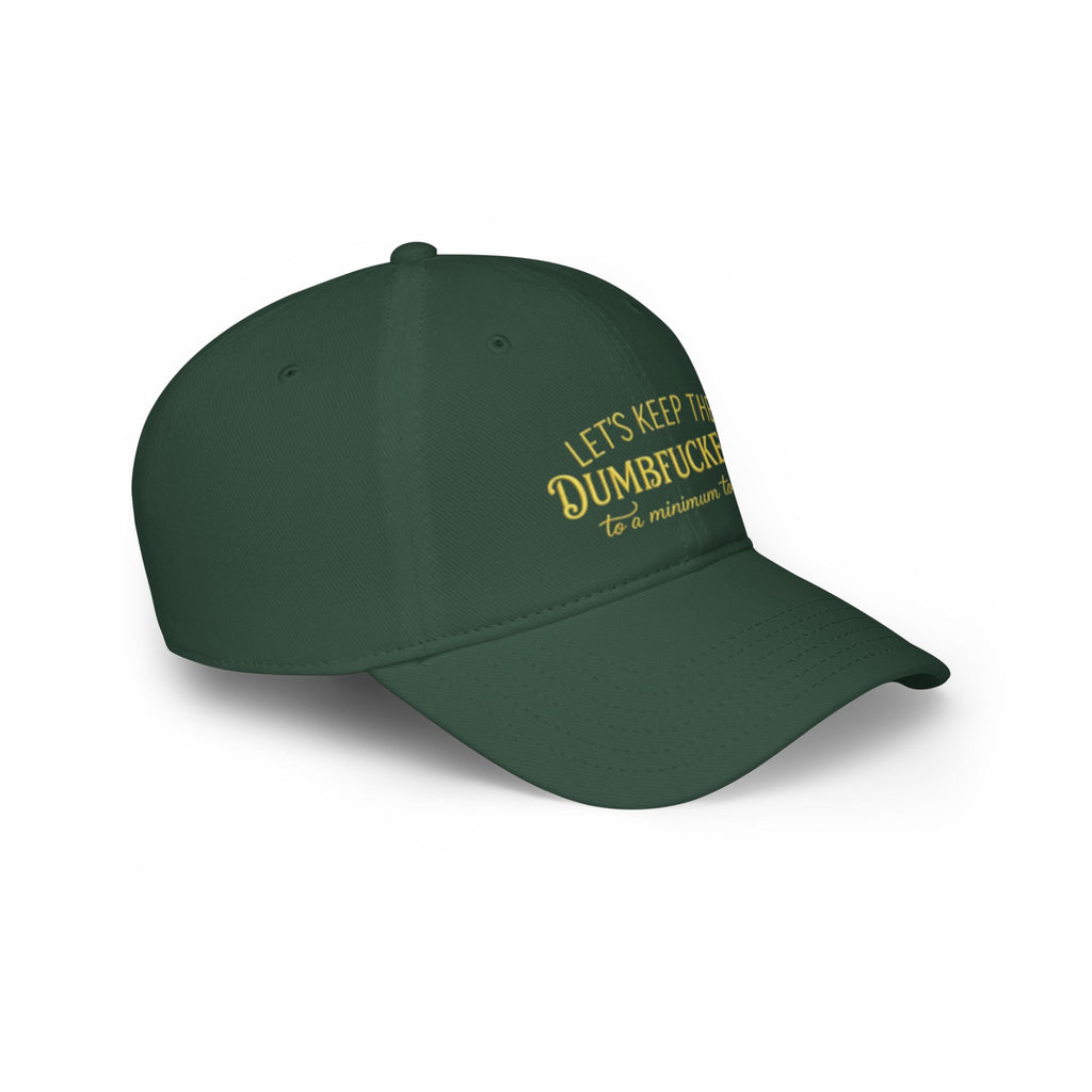Humorous Low Profile Baseball Cap - "Let's Keep the Dumbfuckery to a Minimum Today"