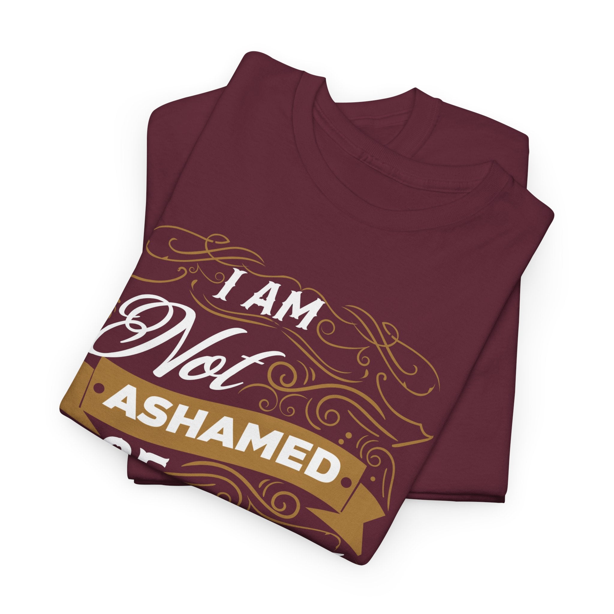 I Am Not Ashamed of the Gospel — Romans 1:16 T-Shirt