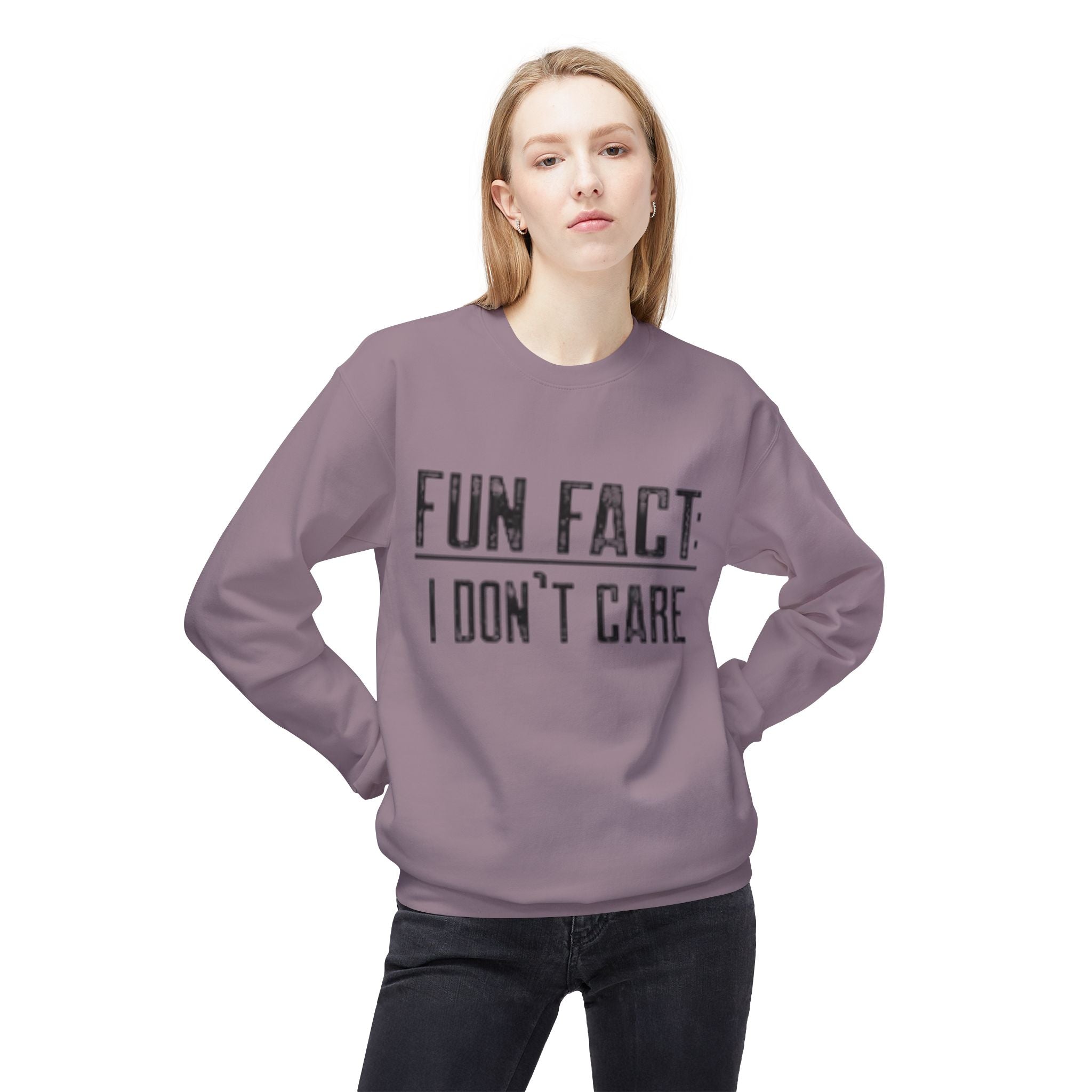 Fun Fact: I Don’t Care Sweatshirt – Sarcastic Graphic Pullover