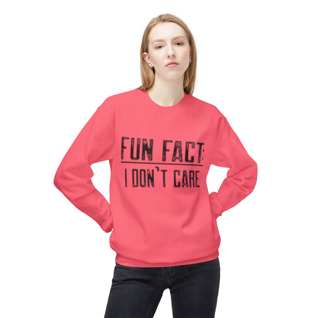 Fun Fact: I Don’t Care Sweatshirt – Sarcastic Graphic Pullover