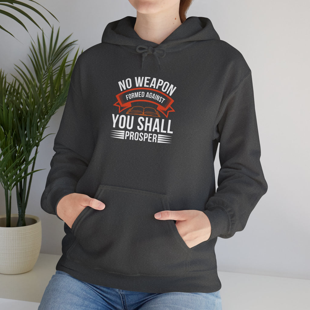 No Weapon Formed Against You Shall Prosper | Faith vs Fear Hoodie