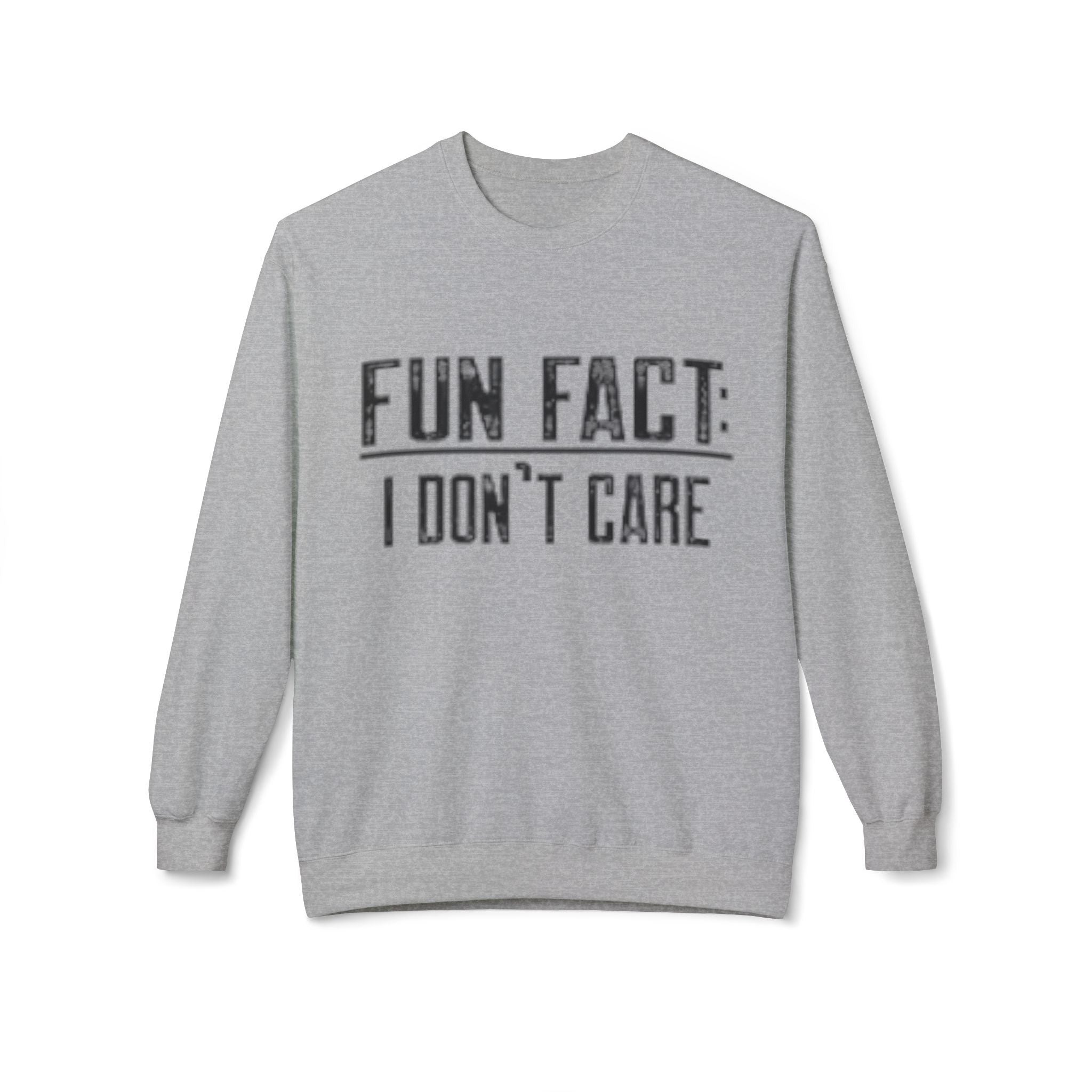 Fun Fact: I Don’t Care Sweatshirt – Sarcastic Graphic Pullover