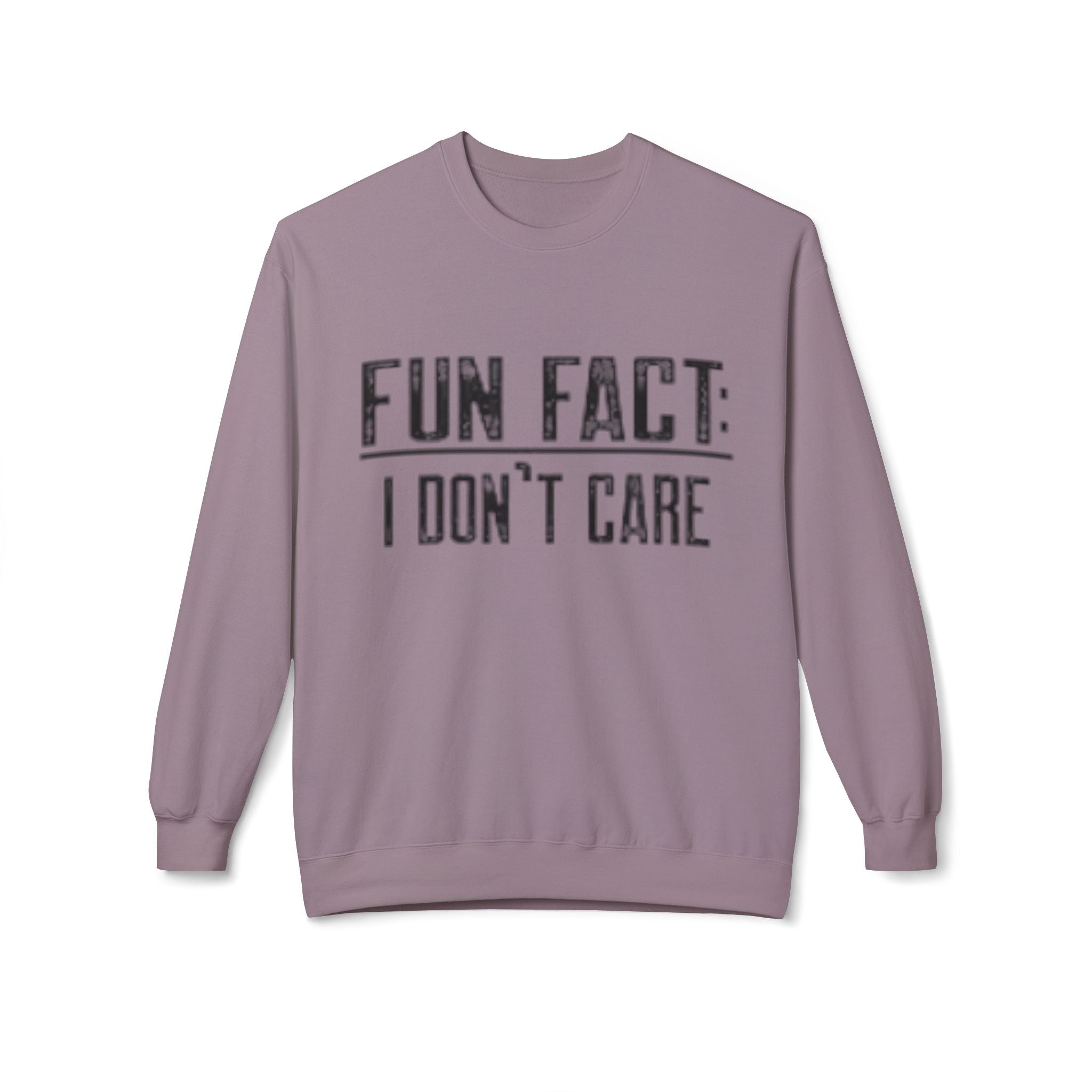Fun Fact: I Don’t Care Sweatshirt – Sarcastic Graphic Pullover