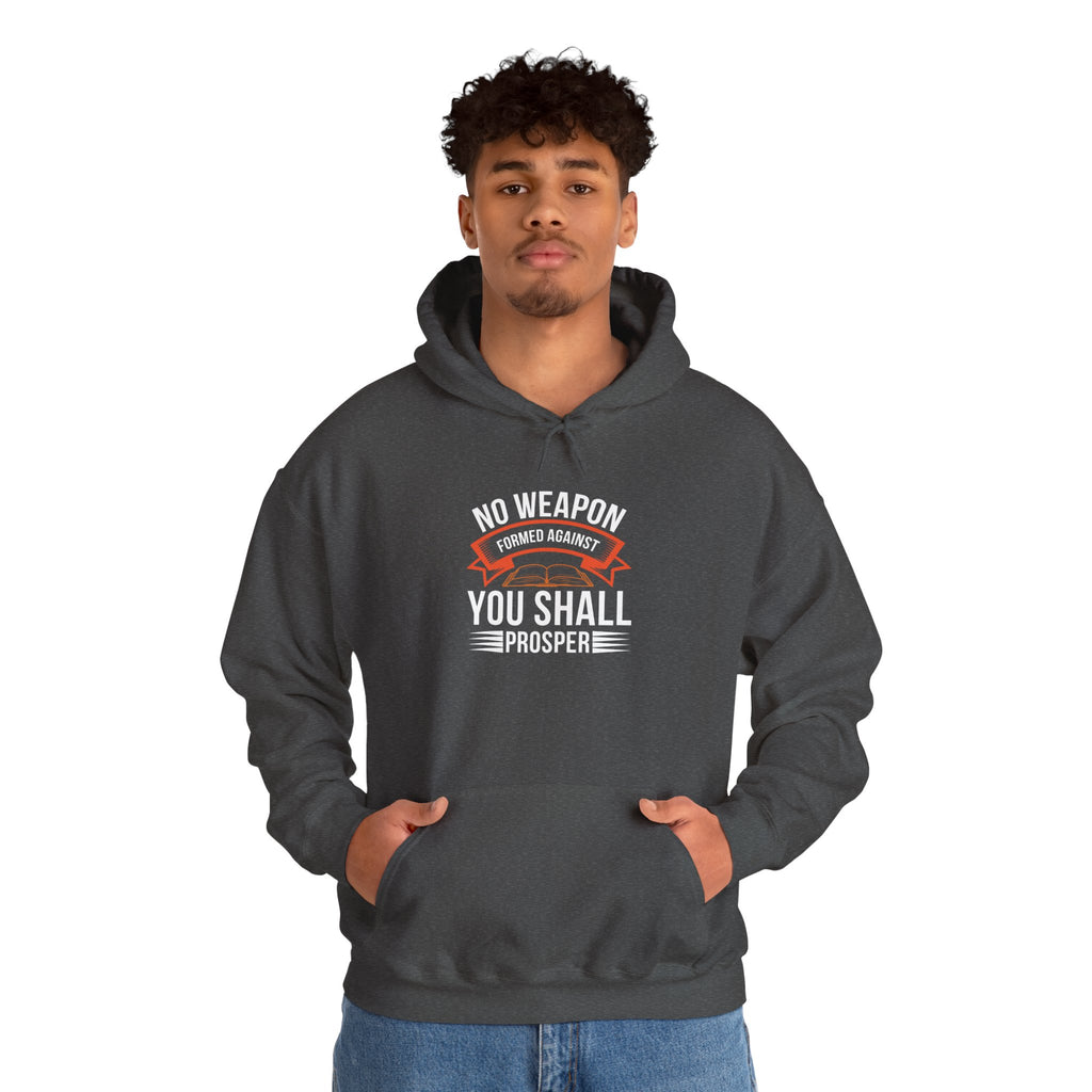 No Weapon Formed Against You Shall Prosper | Faith vs Fear Hoodie