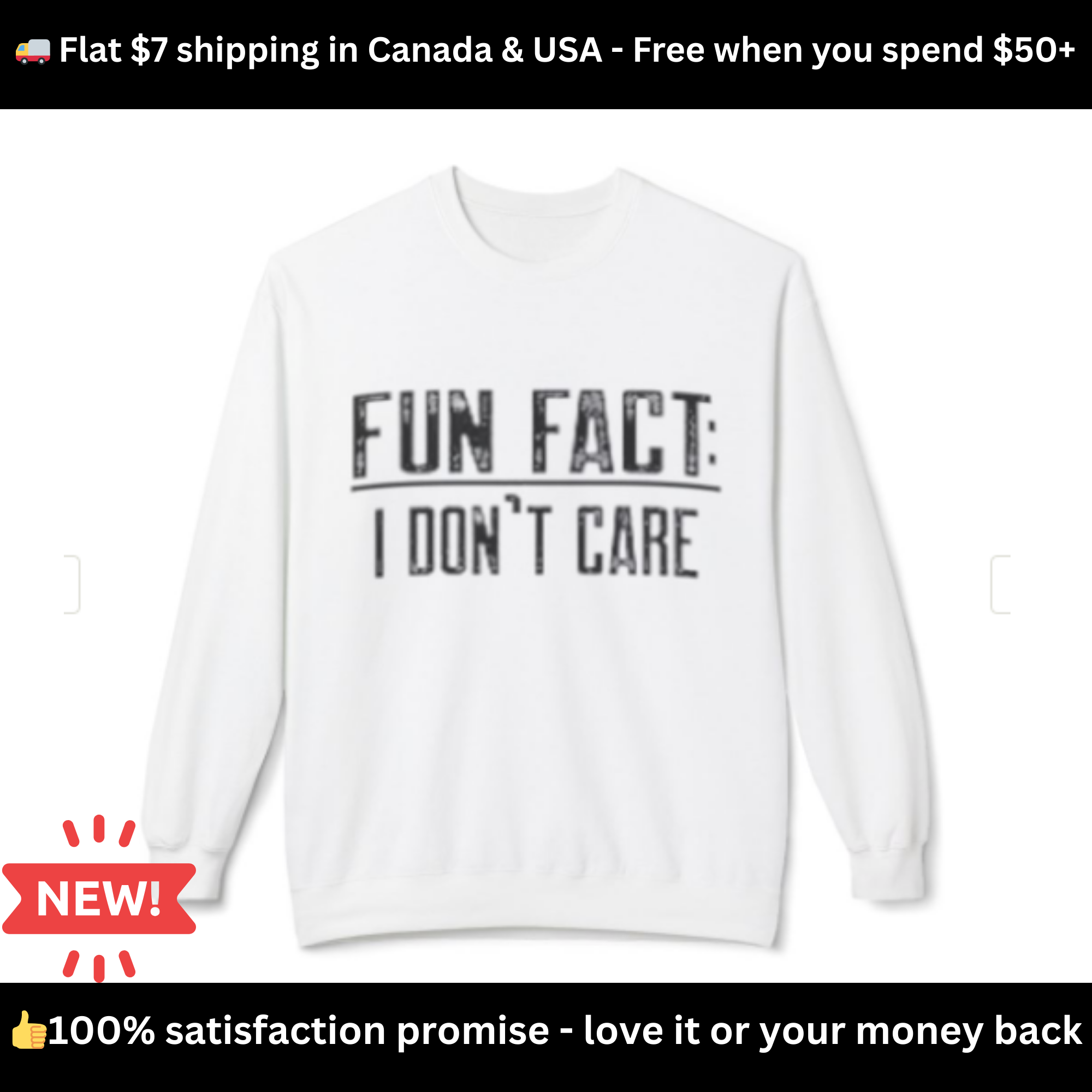 Fun Fact: I Don’t Care Sweatshirt – Sarcastic Graphic Pullover