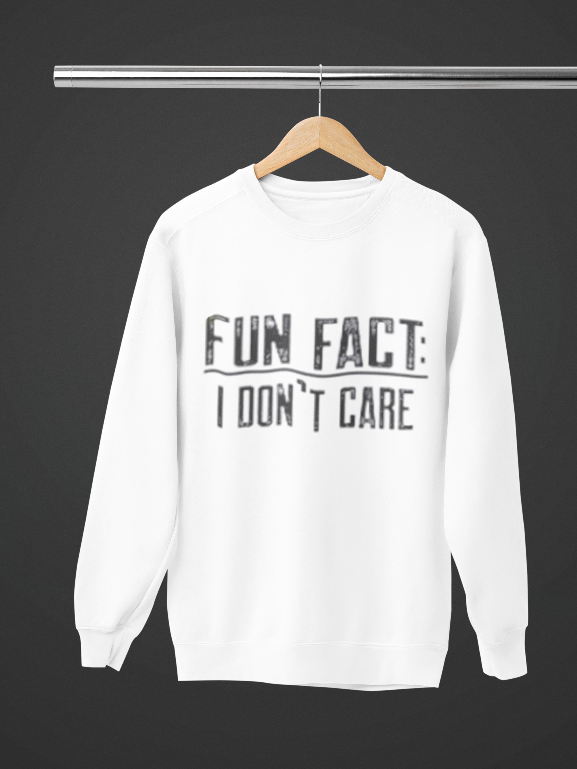 Fun Fact: I Don’t Care Sweatshirt – Sarcastic Graphic Pullover